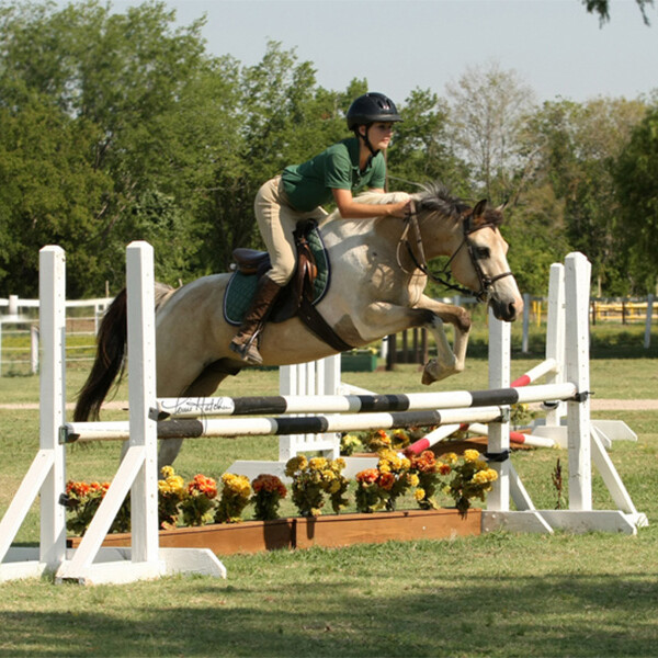 Rider and horse jumping at Trinity River Farm and Equestrian Center