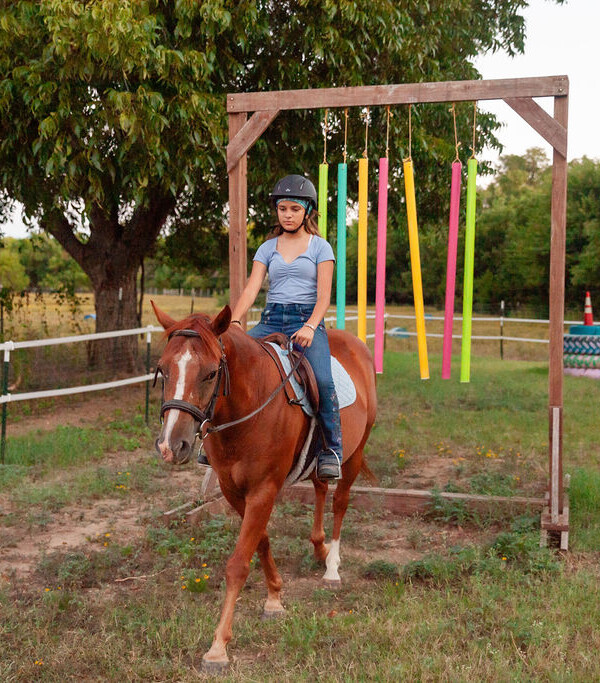 trf-IMG-6261-600x700 Young rider on a horse at the Trinity River Farm obstacle course