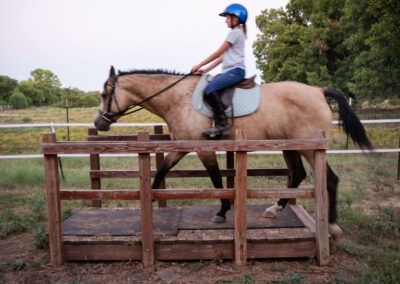 Trinity River Farm photo