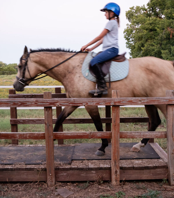 Trinity River Farm