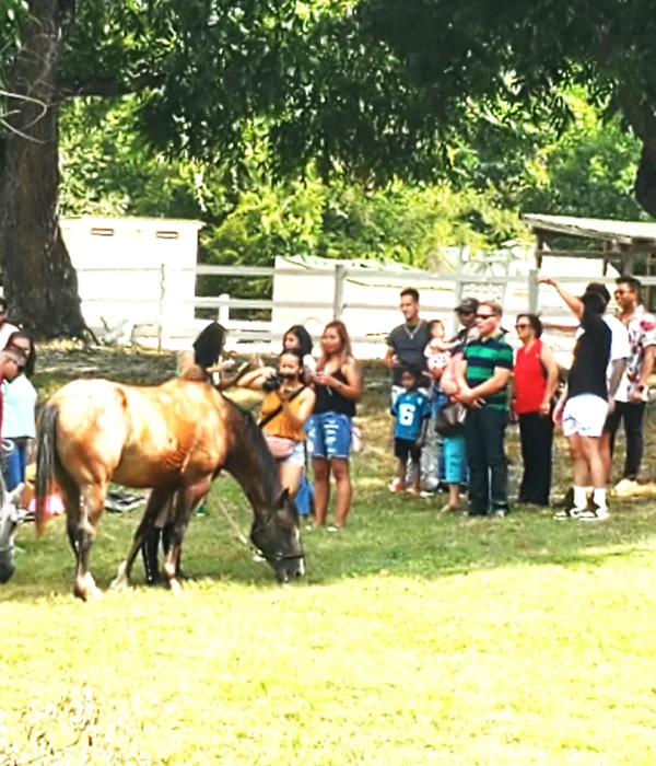 Trinity River Farm